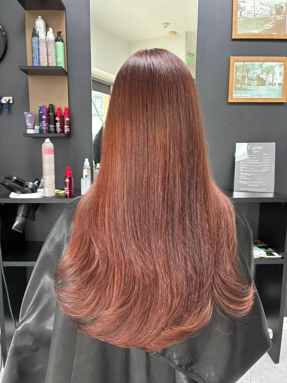 Gari, taisni mati vara un sarkanbrūnā tonī pēc krāsošanas salonā